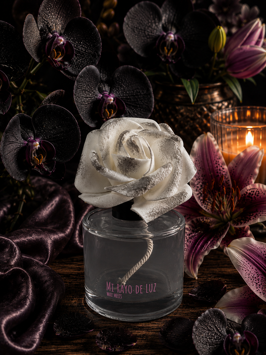Orquídea y lirio 🖤