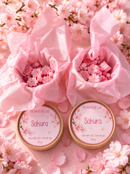 Sakura 🌸