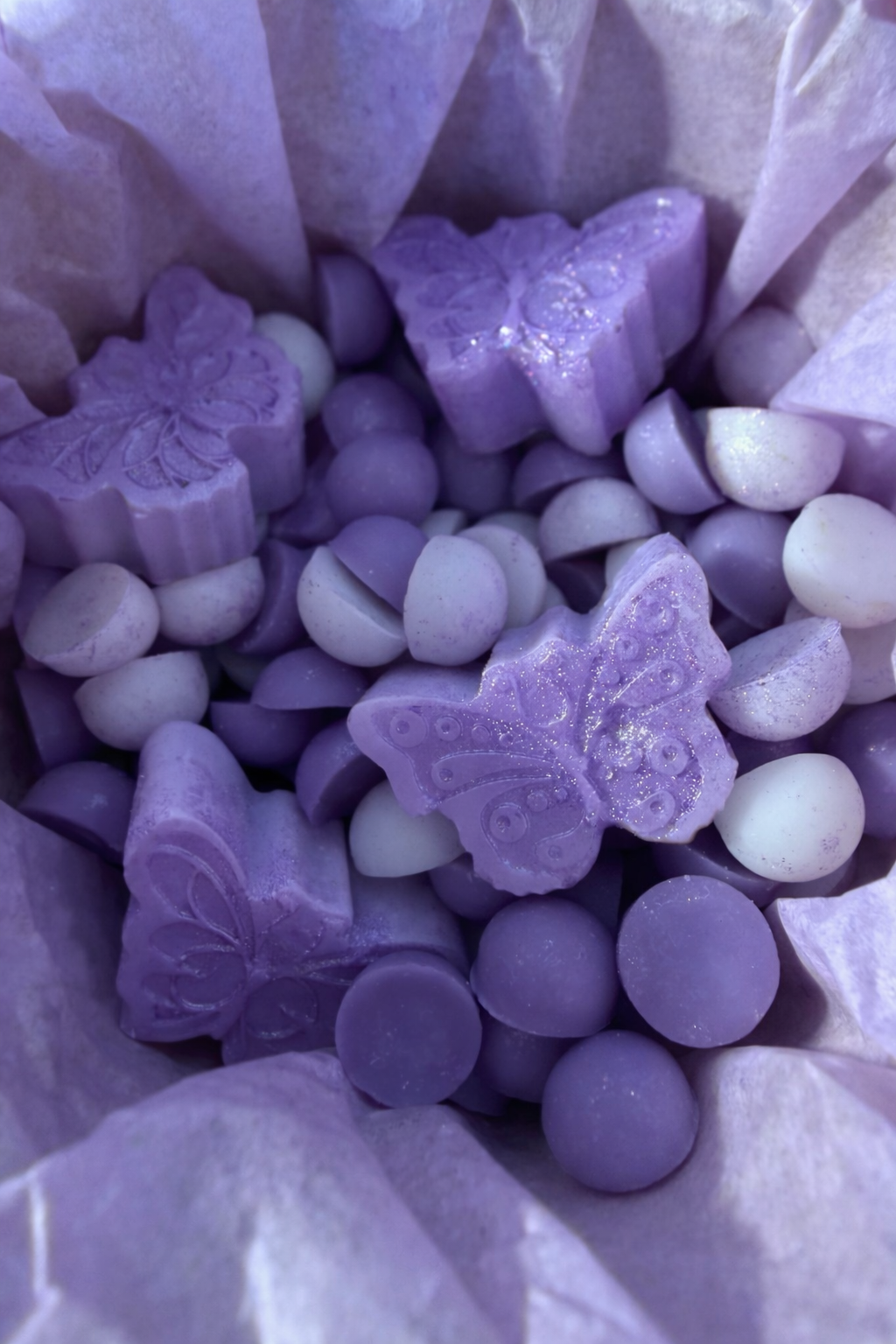 Lavanda 🪻