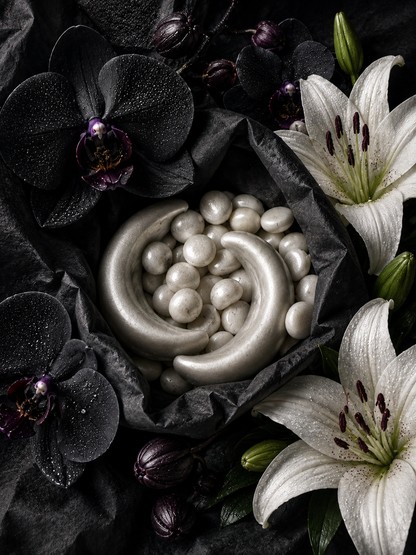 Orquídea y lirio 🖤