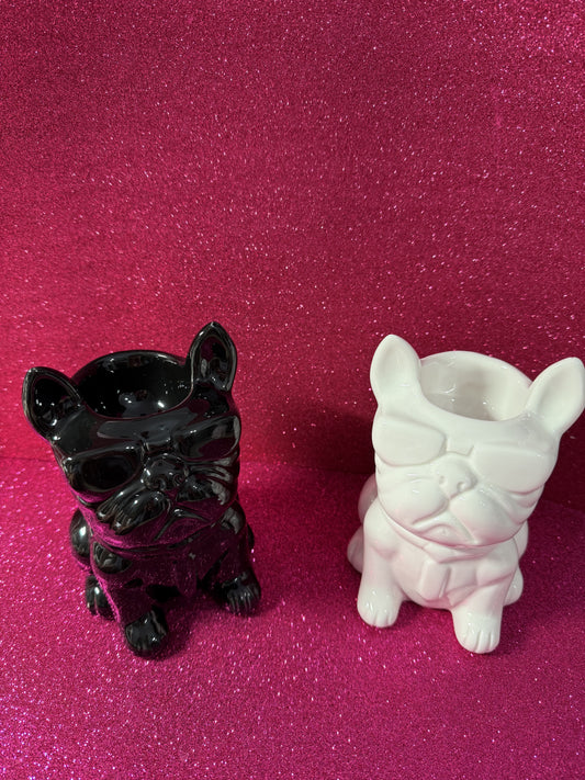 Quemador Bulldog 🐶