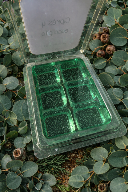 Ciprés y eucalipto 🍃